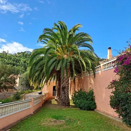 La Casa Celestial فيلة