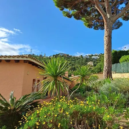 فيلة La Casa Celestial