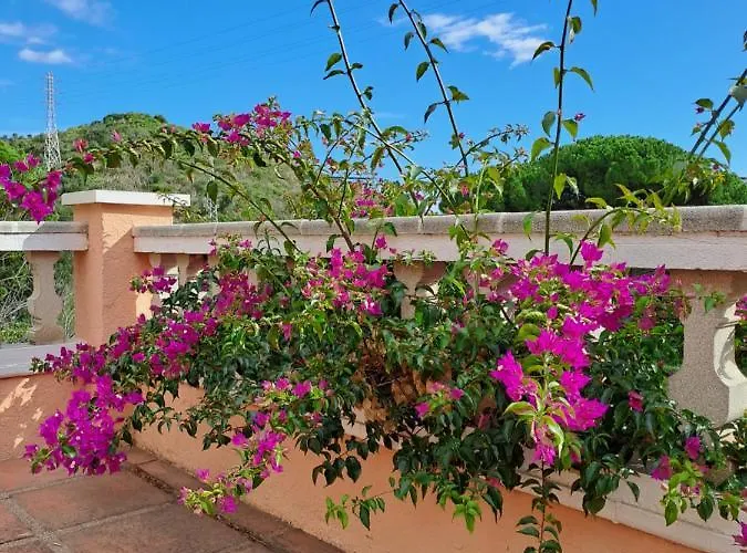 La Casa Celestial